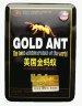 Gold_Ant.jpg